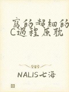 写的超细的多肉C过程原耽