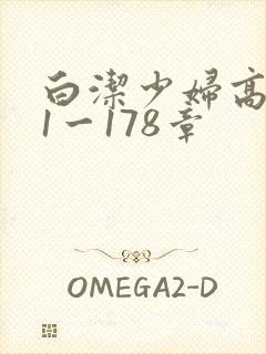 白洁少妇高义第1一178章封面