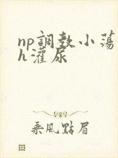 np调教小荡货h灌尿