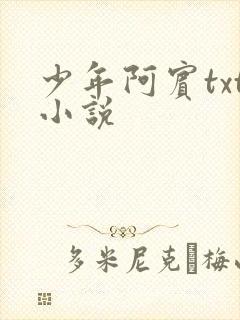 少年阿宾txt小说