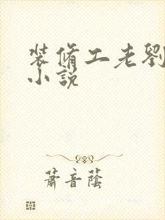 装修工老刘林雪小说