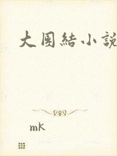 大团结小说阅读