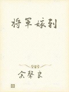 将军嫁到