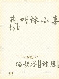 我叫林小喜小说txt