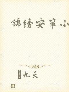 锦绣安宁小说封面