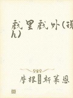 戏里戏外(现场h)