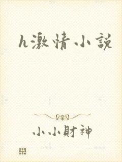 h激情小说