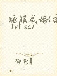 睡服成婚(高h 1v1 sc)