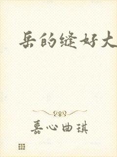 岳的缝好大封面