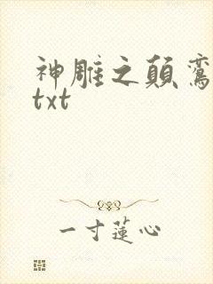 神雕之颠鸾倒凤txt
