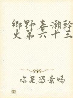 乡野春潮干柴烈火第六十三章