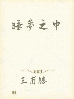 睡梦之中封面