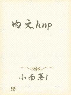 肉文hnp