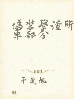 伪装学渣所有开车部分