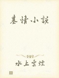 基情小说