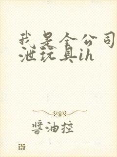 我是全公司的发泄玩具ih封面