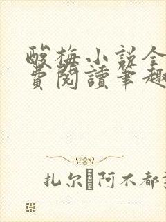 酸梅小说全文免费阅读笔趣阁