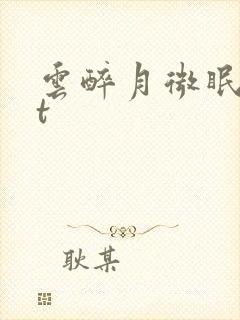 云醉月微眠txt封面