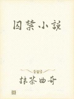 囚禁小说