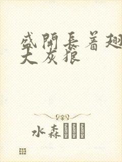 盛开长着翅膀的大灰狼