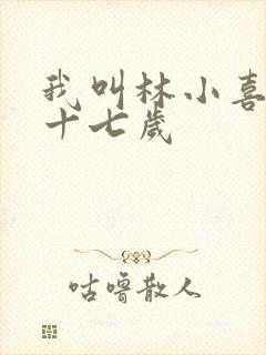 我叫林小喜今年十七岁