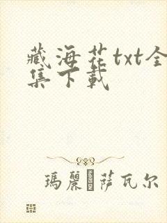 藏海花txt全集下载