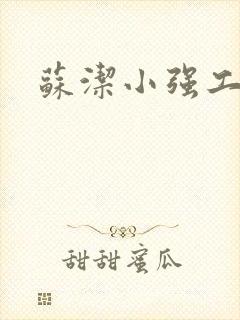 苏洁小强工地情