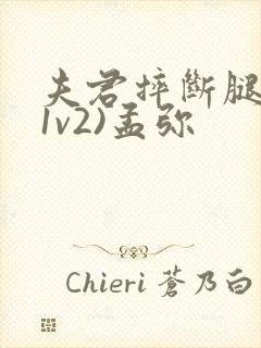 夫君摔断腿后(1v2)孟弥