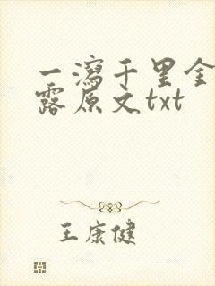 一泻千里金银花露原文txt