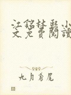 江铭林熙小说全文免费阅读