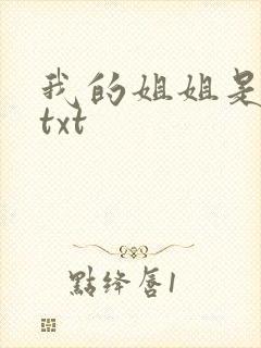 我的姐姐是美女txt