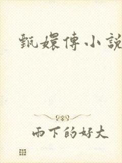 甄嬛传小说封面