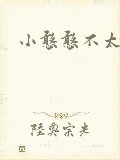 小憨憨不太二封面