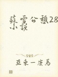 苏雪公憩28篇小说