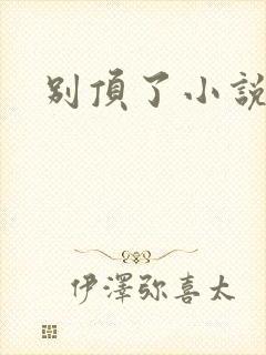 别顶了小说封面