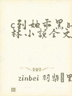 c到她乖黑暗森林小说全文阅读封面