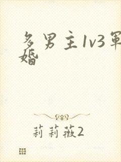 多男主1v3军婚封面