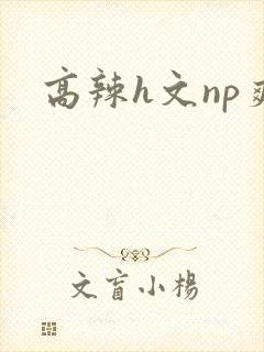 高辣h文np爽