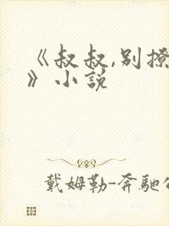 《叔叔,别撩我》小说