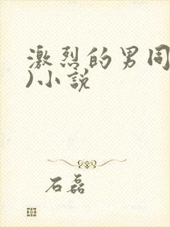 激烈的男同(h)小说