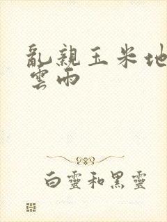 乱亲玉米地初尝云雨封面