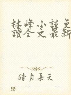 林峰小说免费阅读全文最新章节封面