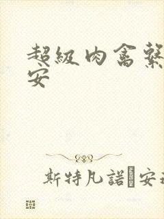 超级肉禽系统保安封面