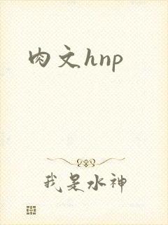肉文hnp