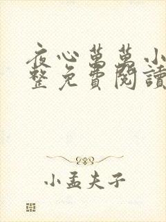 夜心万万小说完整免费阅读全文