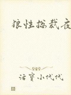 狼性总裁夜欢宠