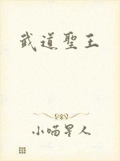 武道圣王