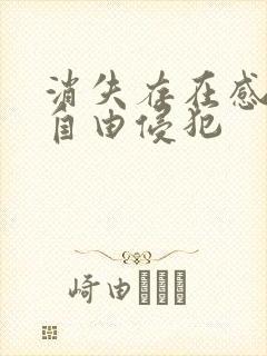 消失存在感消失自由侵犯封面