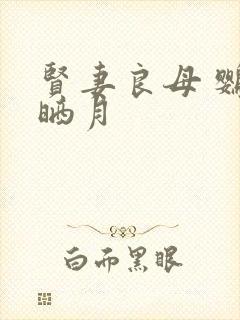 贤妻良母 鹦鹉晒月