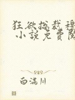 狂欲总裁穆非雪 小说免费阅读